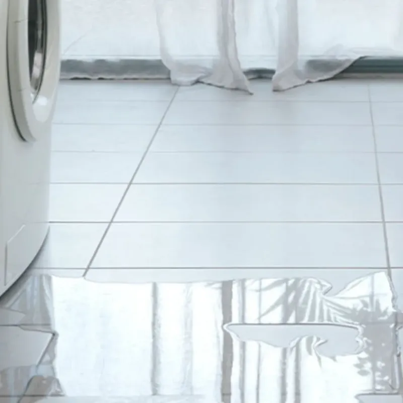 Appliance Leak Cleanup in White Salmon, WA