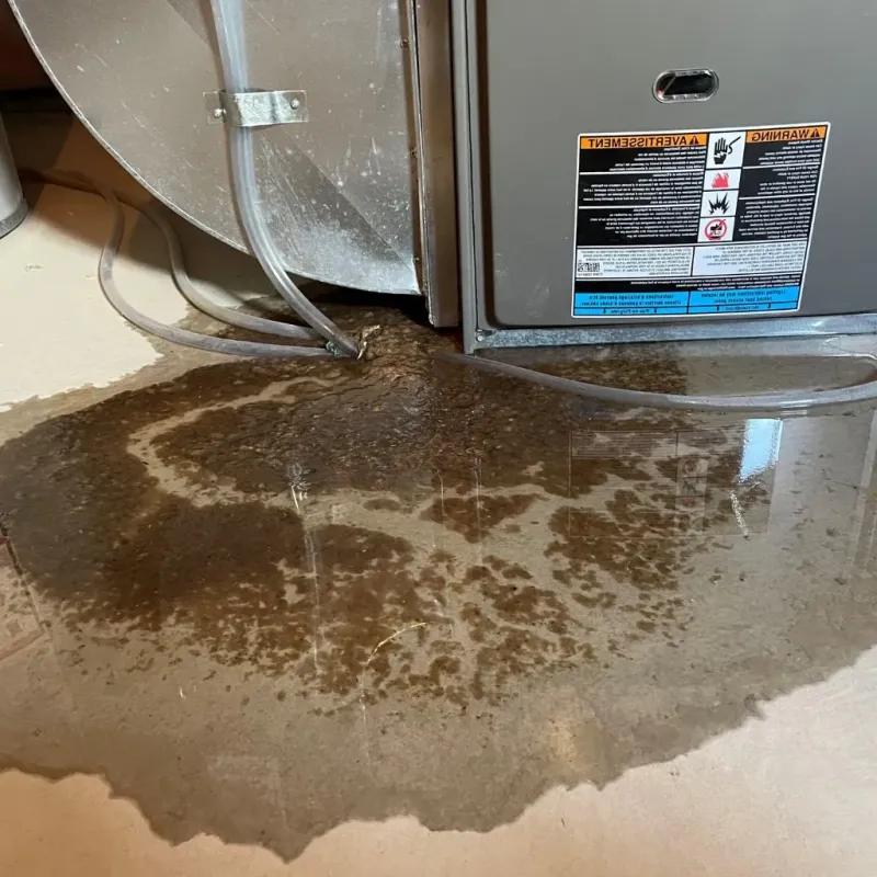 Pipe Burst and Leak Restoration in White Salmon, WA